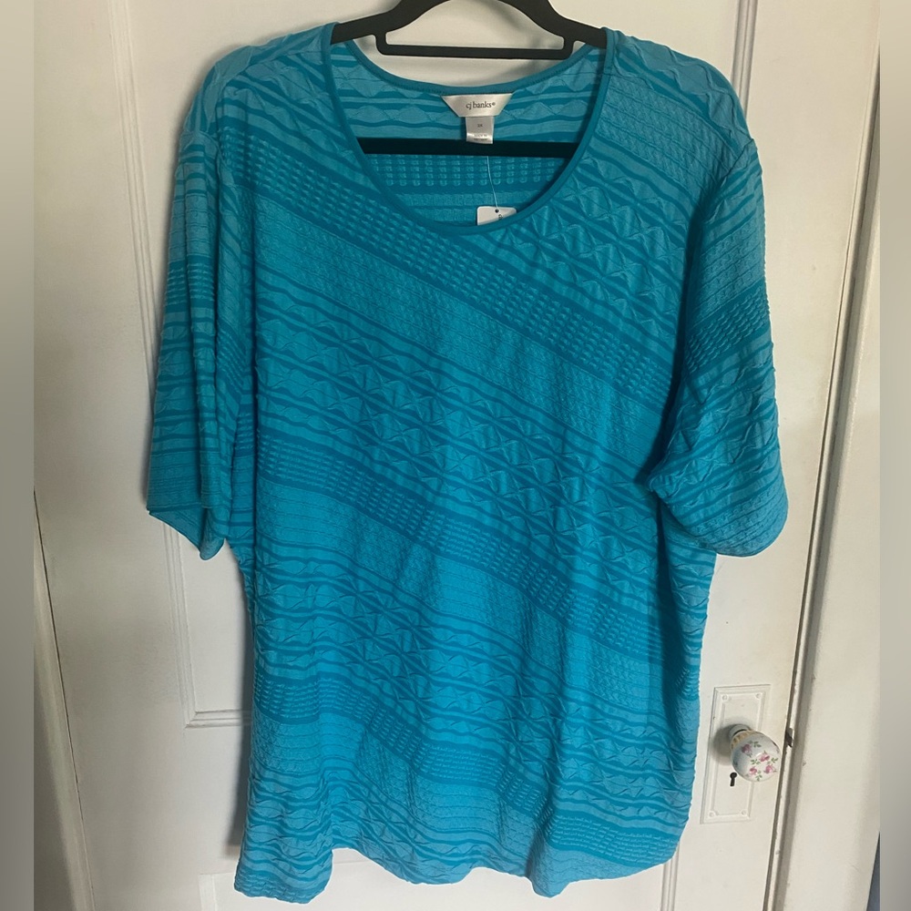 NWT Sz 3x CJ Banks Textured Top